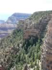 A- Yaki Point Canyon View (5).jpg (103kb)